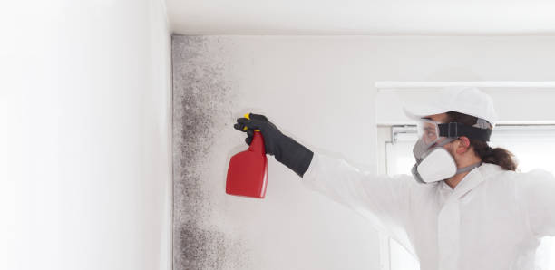 Best Crawl Space Mold Removal  in Ellwood City, PA
